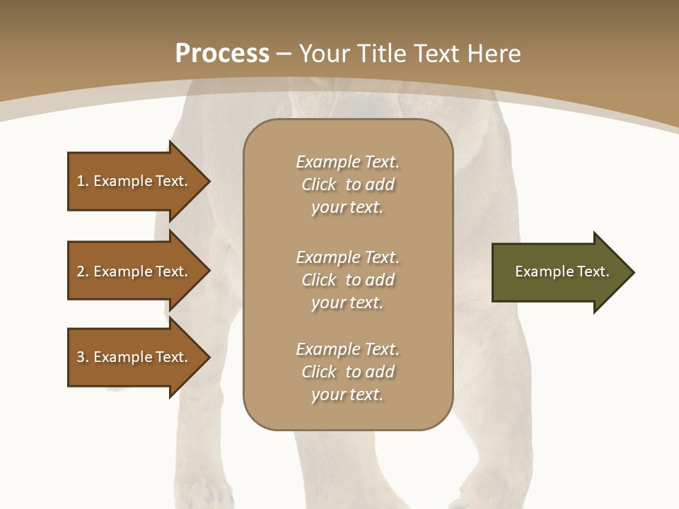 Panthera Leo Animals Animal PowerPoint Template