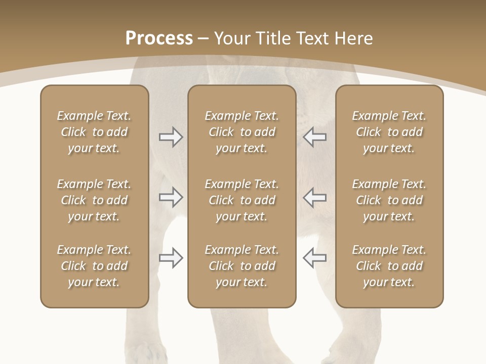 Panthera Leo Animals Animal PowerPoint Template