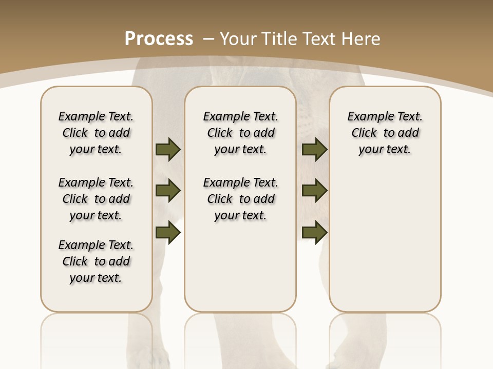 Panthera Leo Animals Animal PowerPoint Template