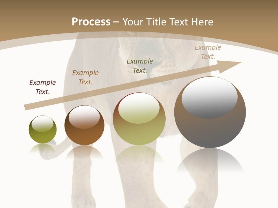 Panthera Leo Animals Animal PowerPoint Template