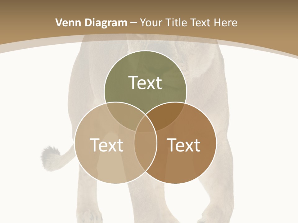 Panthera Leo Animals Animal PowerPoint Template