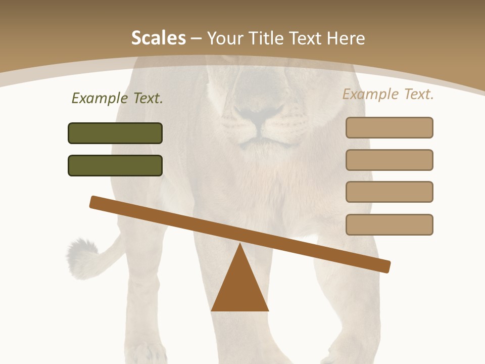 Panthera Leo Animals Animal PowerPoint Template