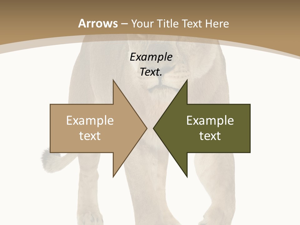 Panthera Leo Animals Animal PowerPoint Template