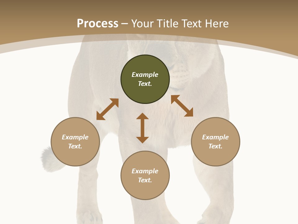 Panthera Leo Animals Animal PowerPoint Template