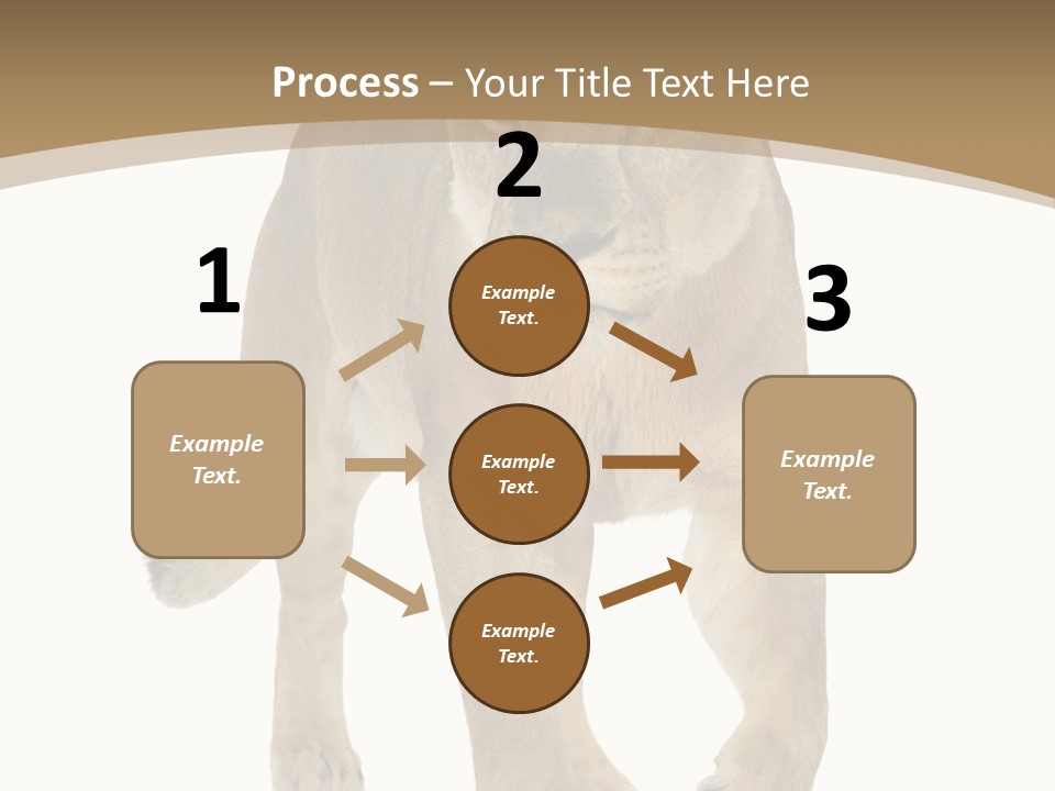 Panthera Leo Animals Animal PowerPoint Template