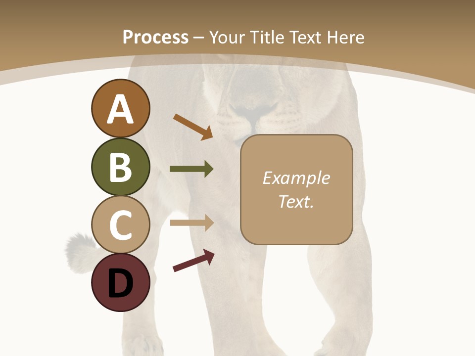 Panthera Leo Animals Animal PowerPoint Template