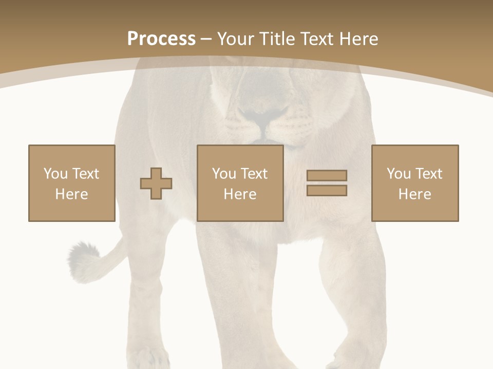 Panthera Leo Animals Animal PowerPoint Template