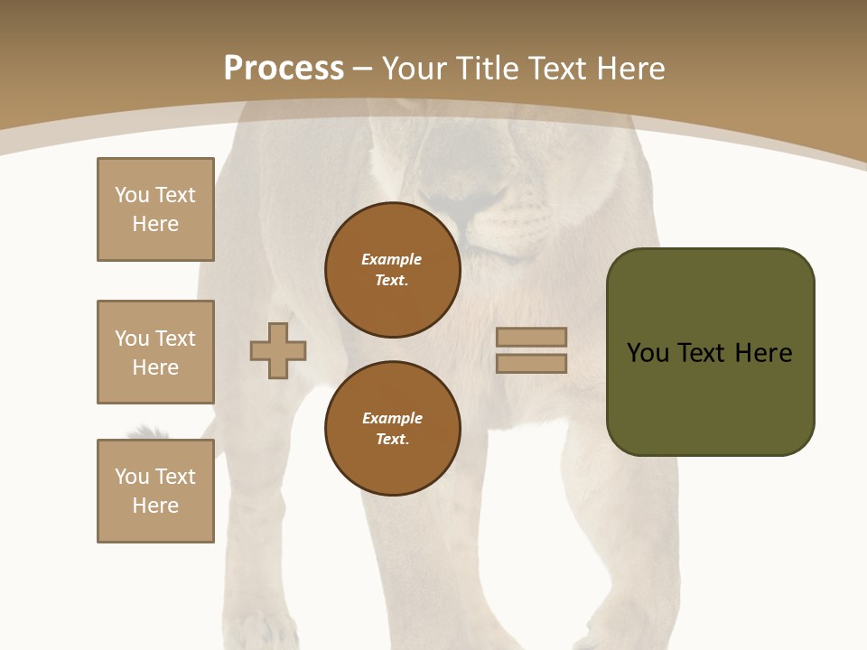 Panthera Leo Animals Animal PowerPoint Template