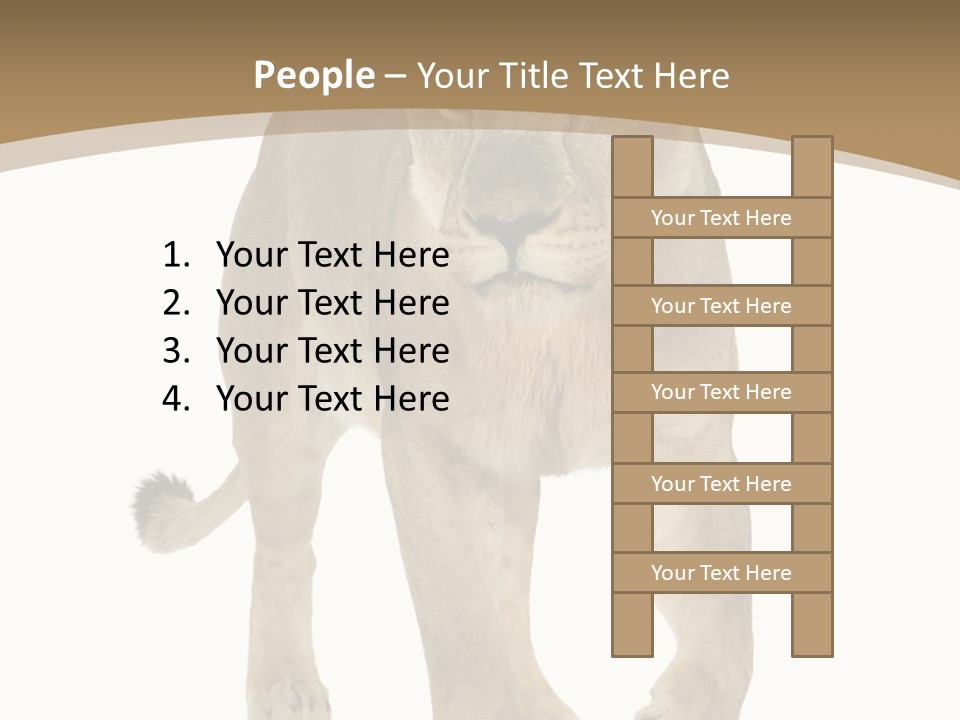 Panthera Leo Animals Animal PowerPoint Template