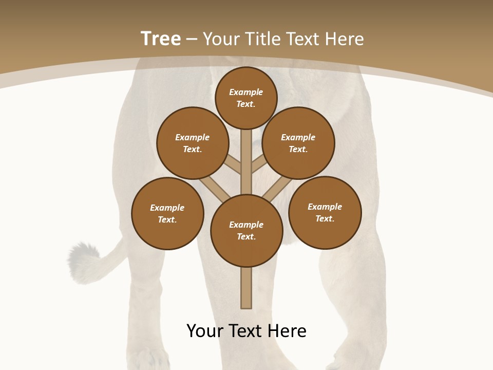 Panthera Leo Animals Animal PowerPoint Template
