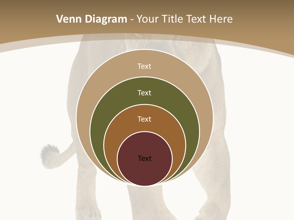 Panthera Leo Animals Animal PowerPoint Template