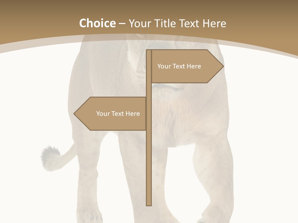 Panthera Leo Animals Animal PowerPoint Template