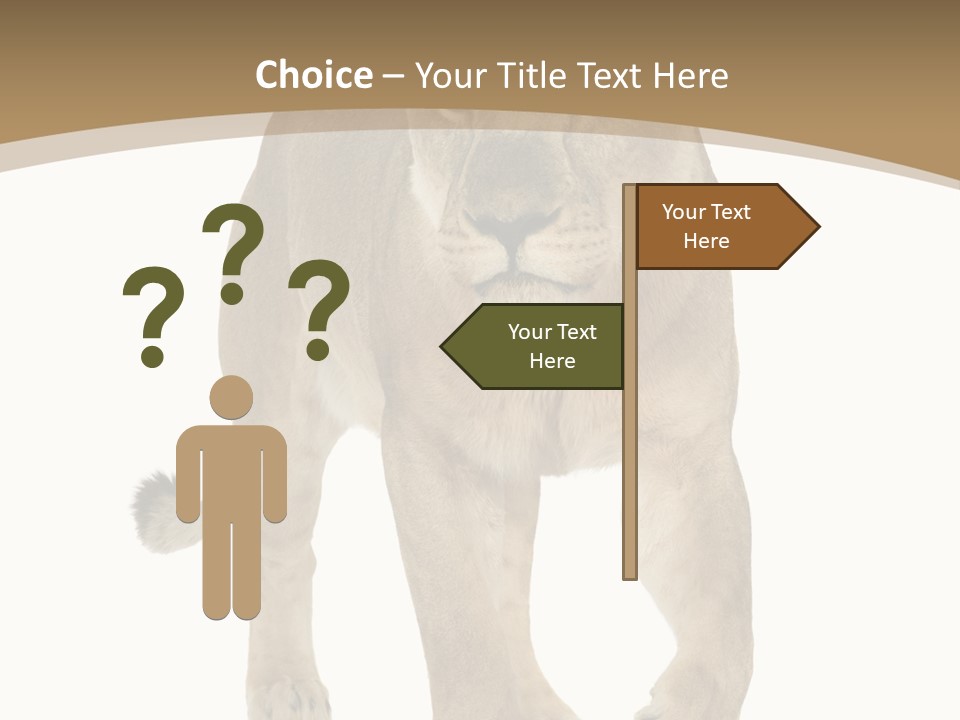 Panthera Leo Animals Animal PowerPoint Template