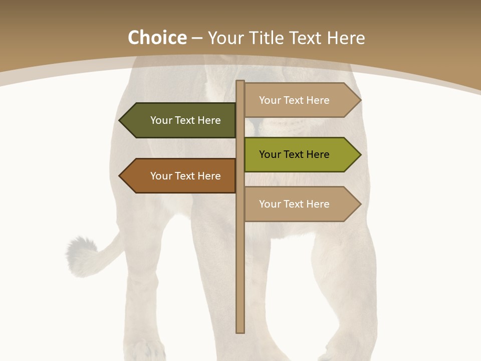 Panthera Leo Animals Animal PowerPoint Template
