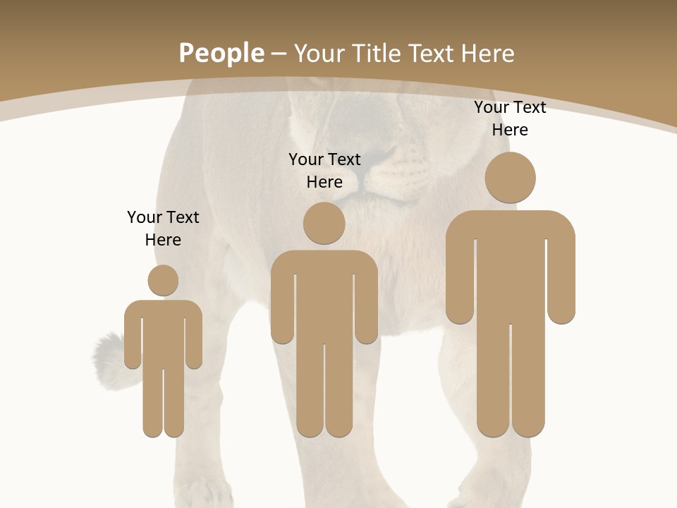 Panthera Leo Animals Animal PowerPoint Template