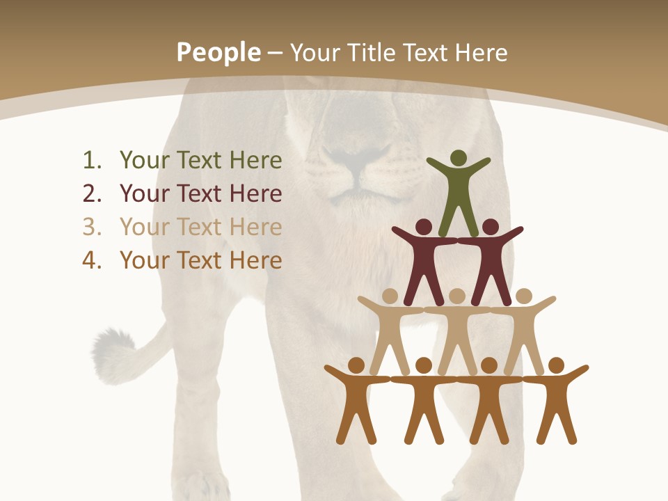 Panthera Leo Animals Animal PowerPoint Template