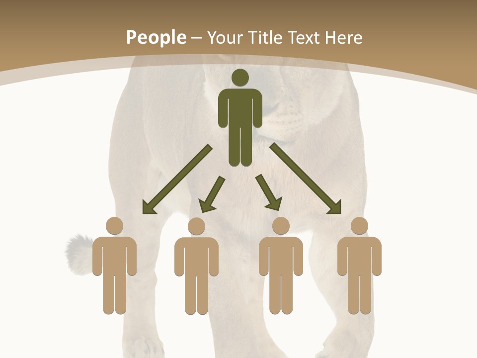 Panthera Leo Animals Animal PowerPoint Template