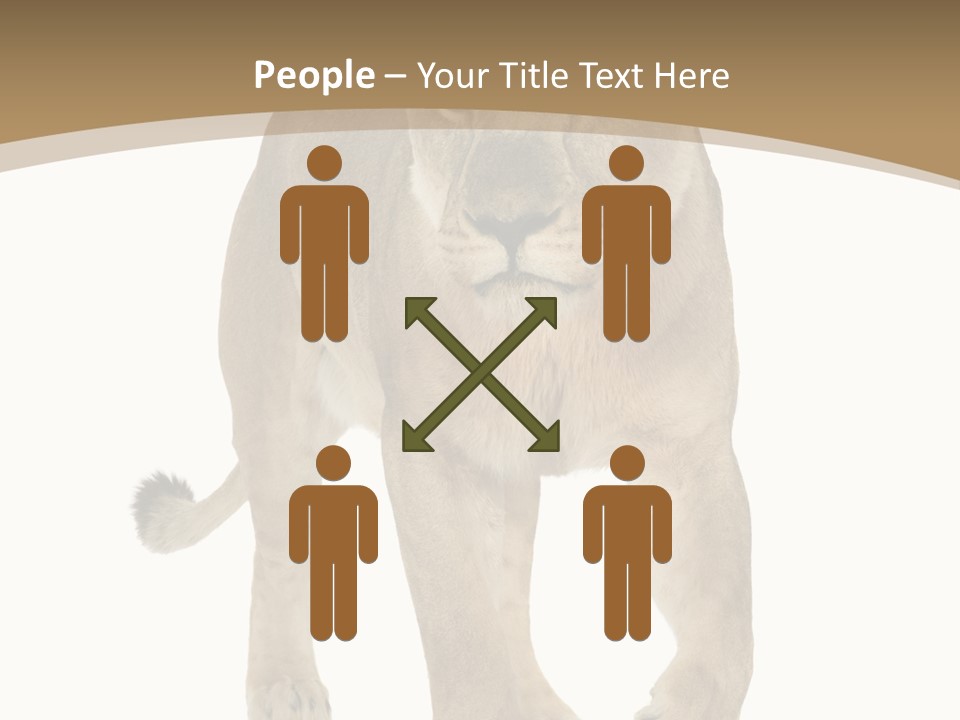 Panthera Leo Animals Animal PowerPoint Template