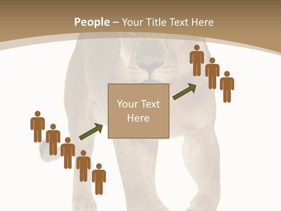 Panthera Leo Animals Animal PowerPoint Template