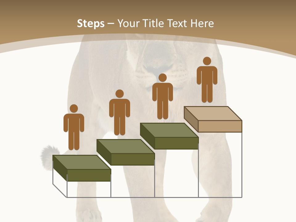Panthera Leo Animals Animal PowerPoint Template