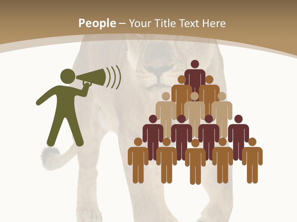 Panthera Leo Animals Animal PowerPoint Template