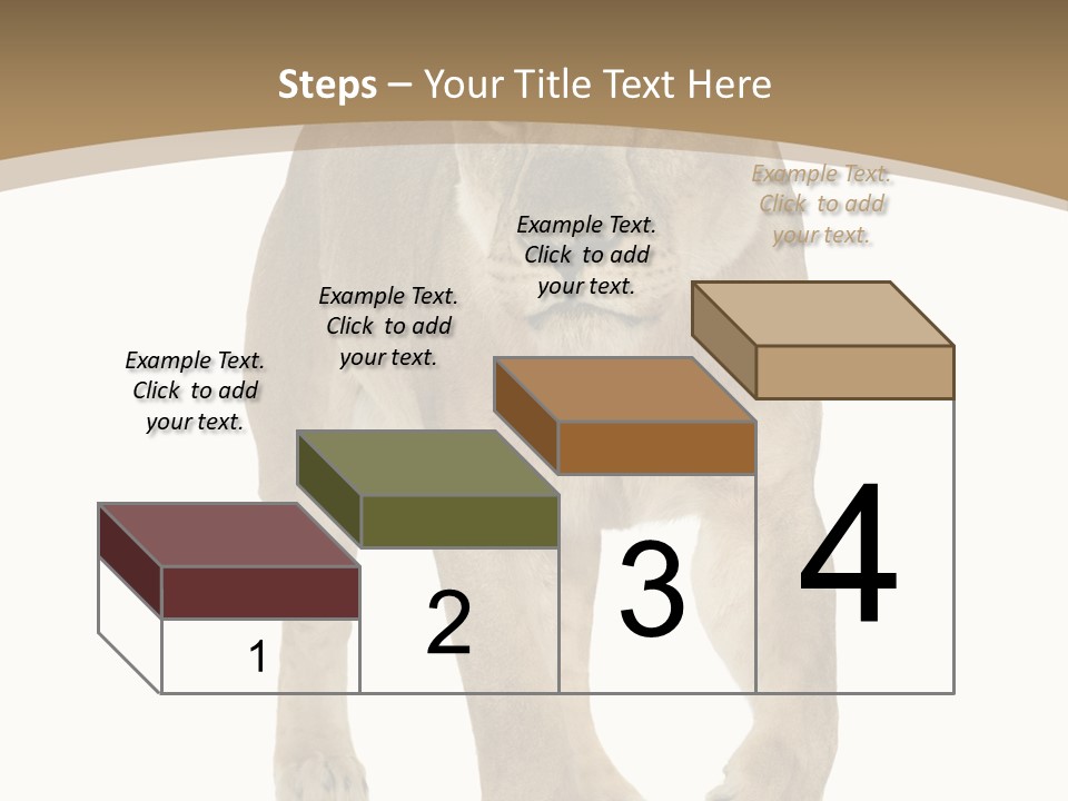 Panthera Leo Animals Animal PowerPoint Template