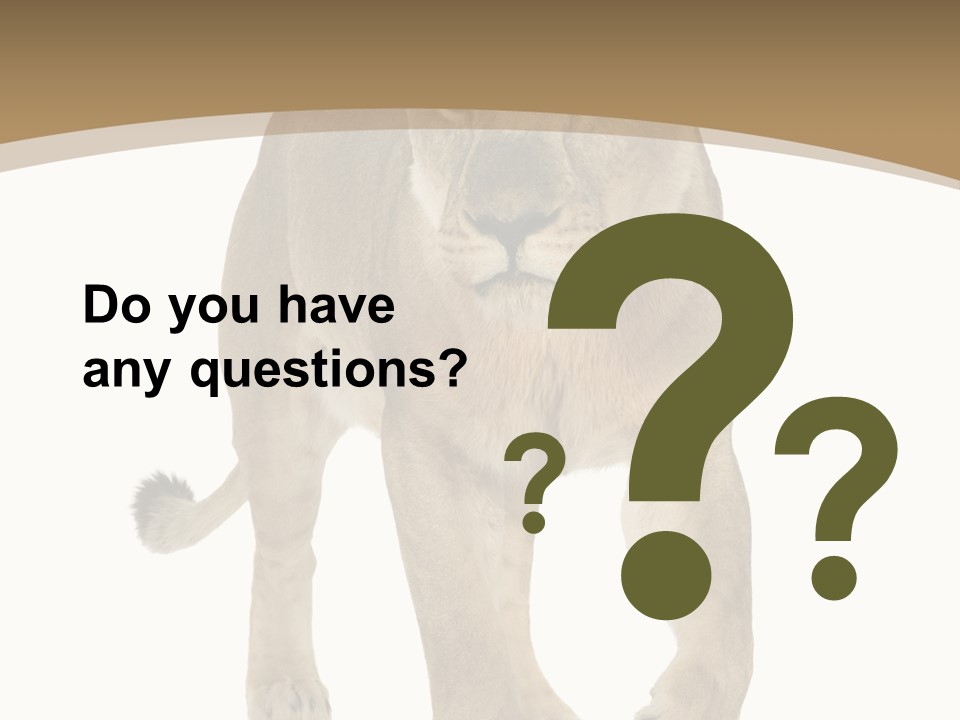 Panthera Leo Animals Animal PowerPoint Template