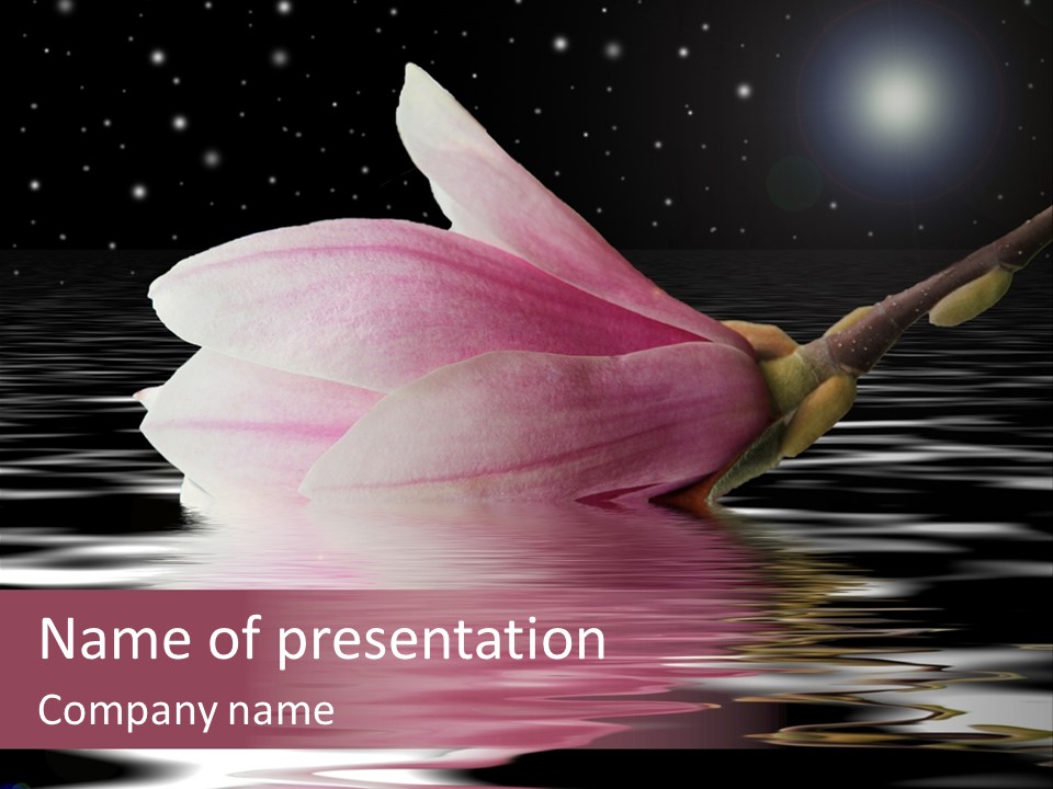 Entspannen Wasser Idee PowerPoint Template