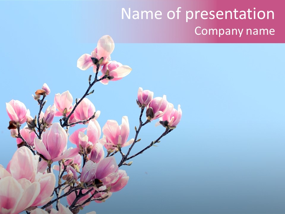 Spring Sunny Beauty PowerPoint Template