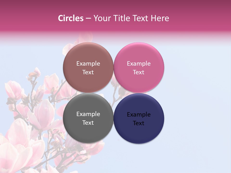 Spring Sunny Beauty PowerPoint Template