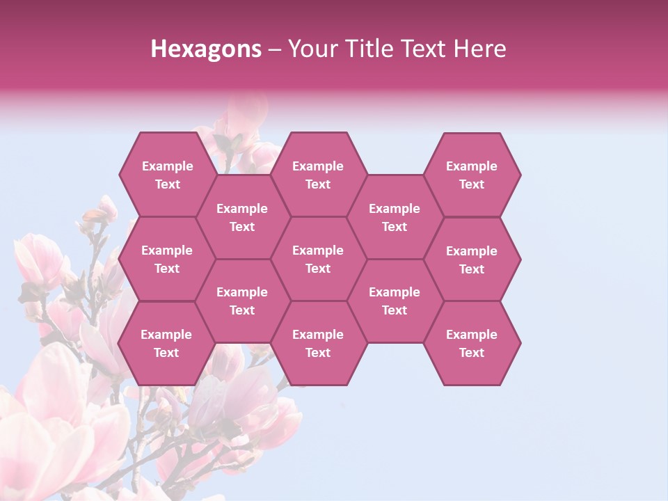 Spring Sunny Beauty PowerPoint Template