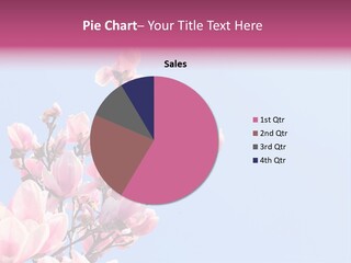 Spring Sunny Beauty PowerPoint Template