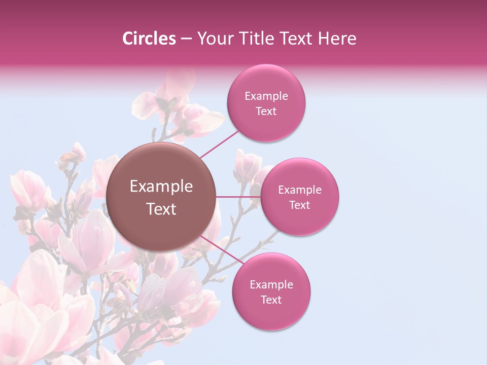 Spring Sunny Beauty PowerPoint Template