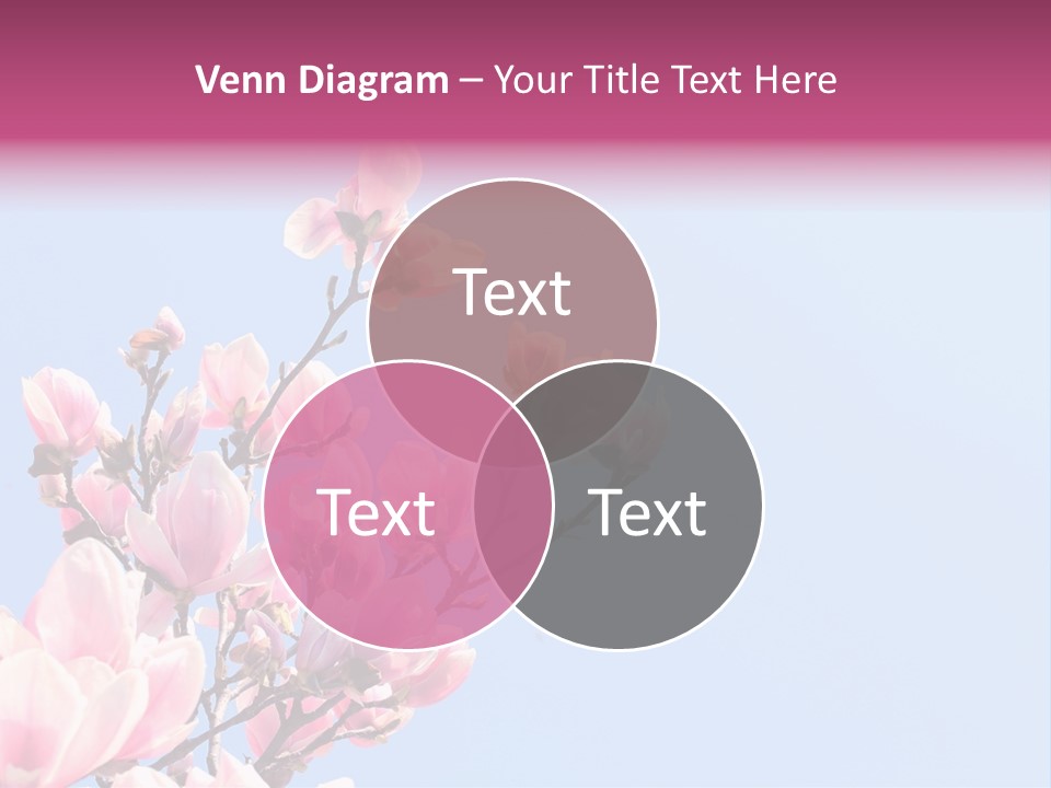 Spring Sunny Beauty PowerPoint Template