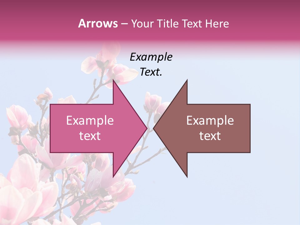 Spring Sunny Beauty PowerPoint Template