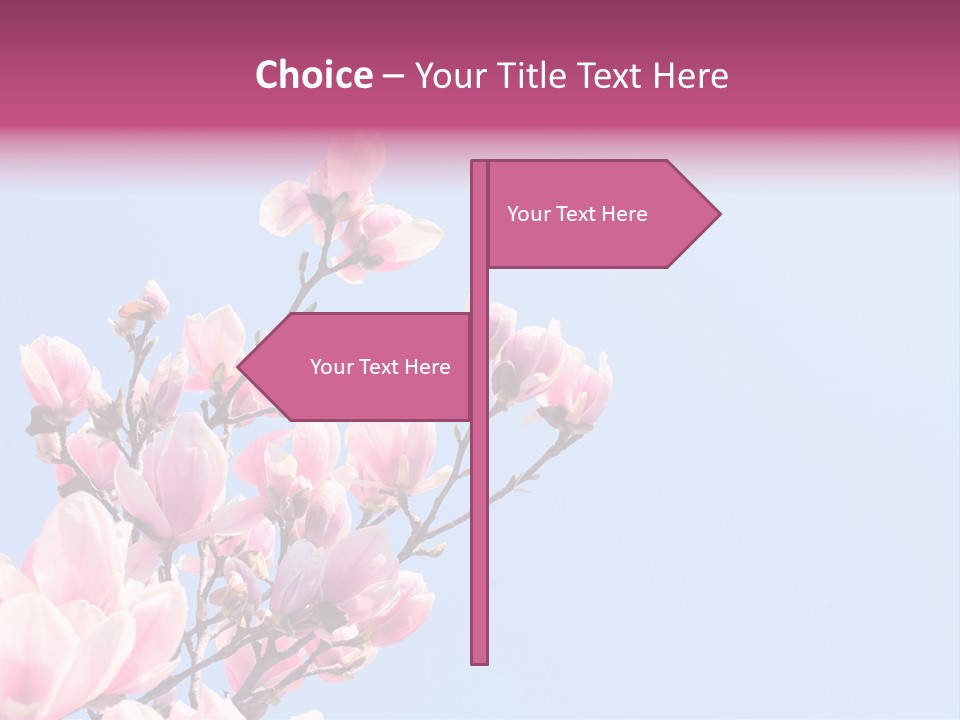 Spring Sunny Beauty PowerPoint Template