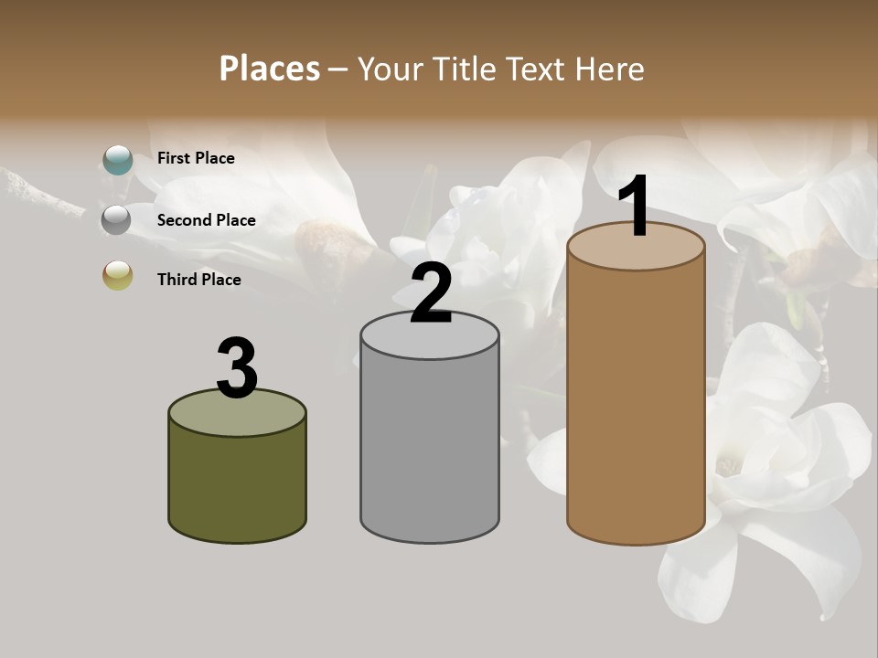 Closeup Photography Backgrounds PowerPoint Template