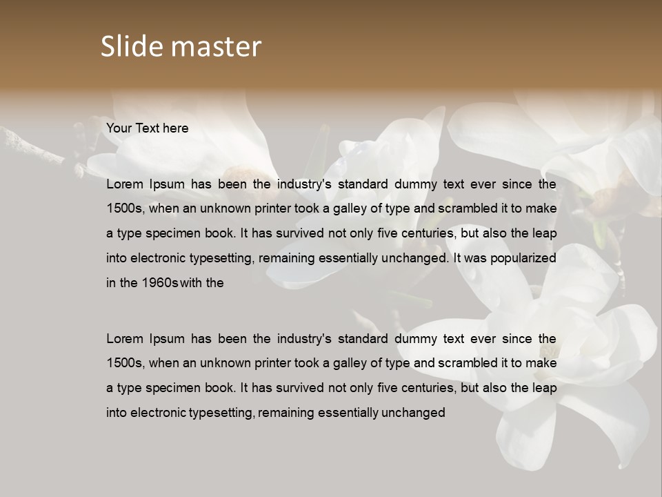 Closeup Photography Backgrounds PowerPoint Template