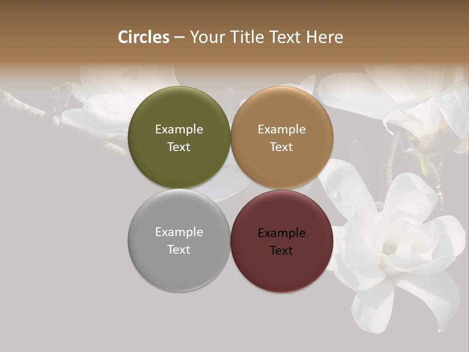 Closeup Photography Backgrounds PowerPoint Template