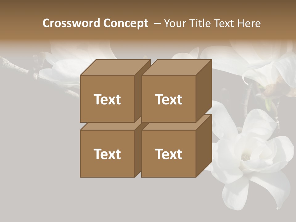 Closeup Photography Backgrounds PowerPoint Template