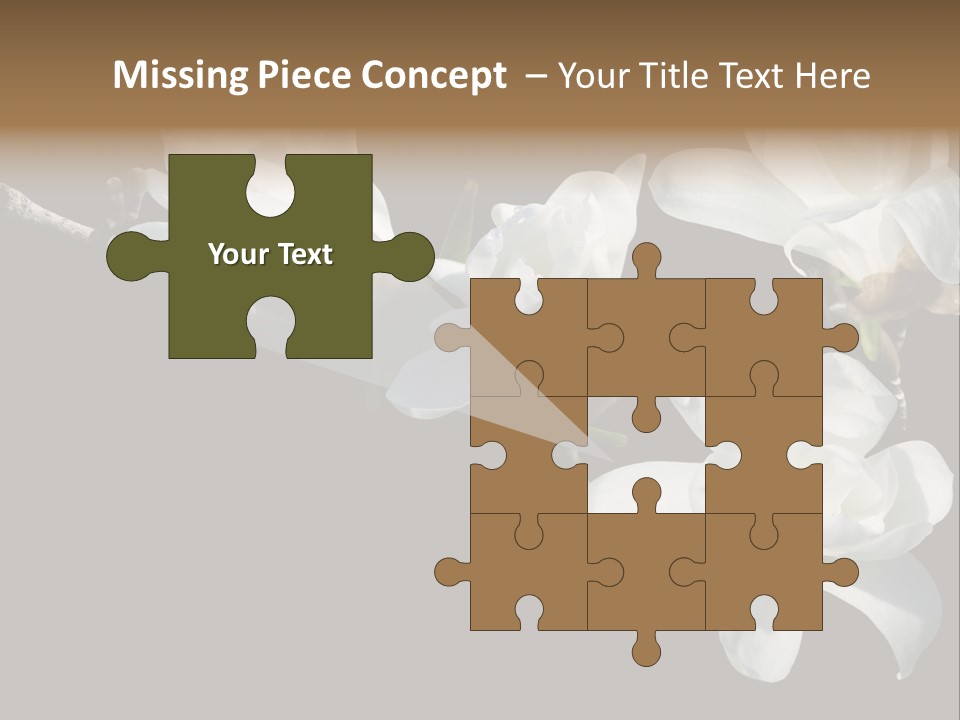 Closeup Photography Backgrounds PowerPoint Template