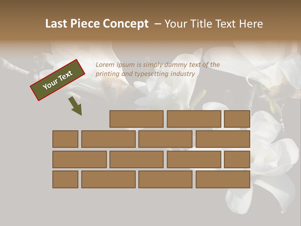 Closeup Photography Backgrounds PowerPoint Template