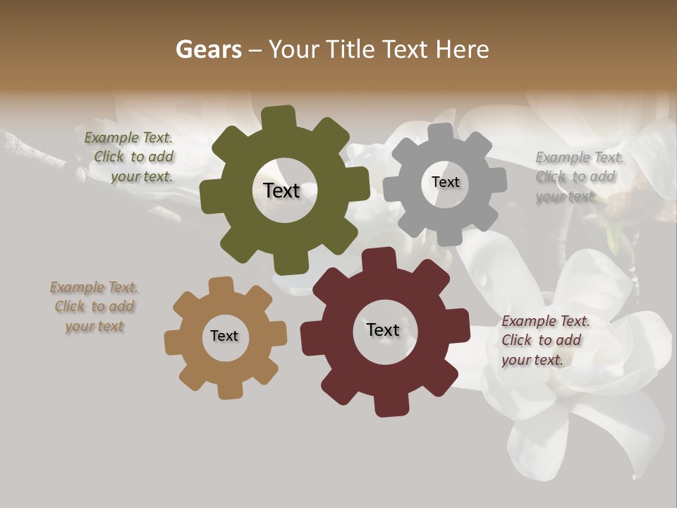 Closeup Photography Backgrounds PowerPoint Template