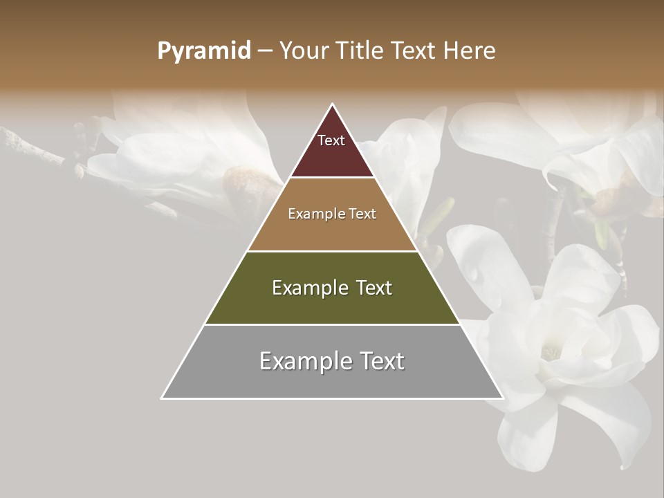 Closeup Photography Backgrounds PowerPoint Template