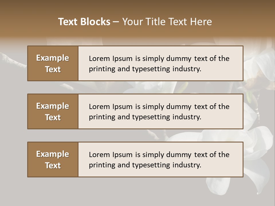 Closeup Photography Backgrounds PowerPoint Template