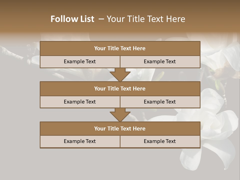 Closeup Photography Backgrounds PowerPoint Template