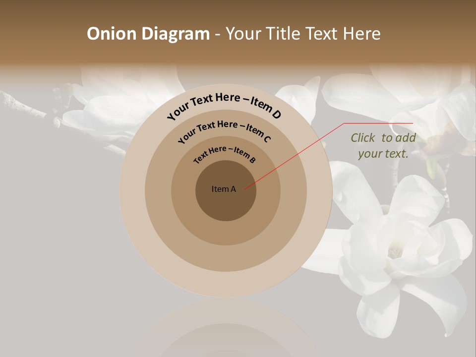 Closeup Photography Backgrounds PowerPoint Template