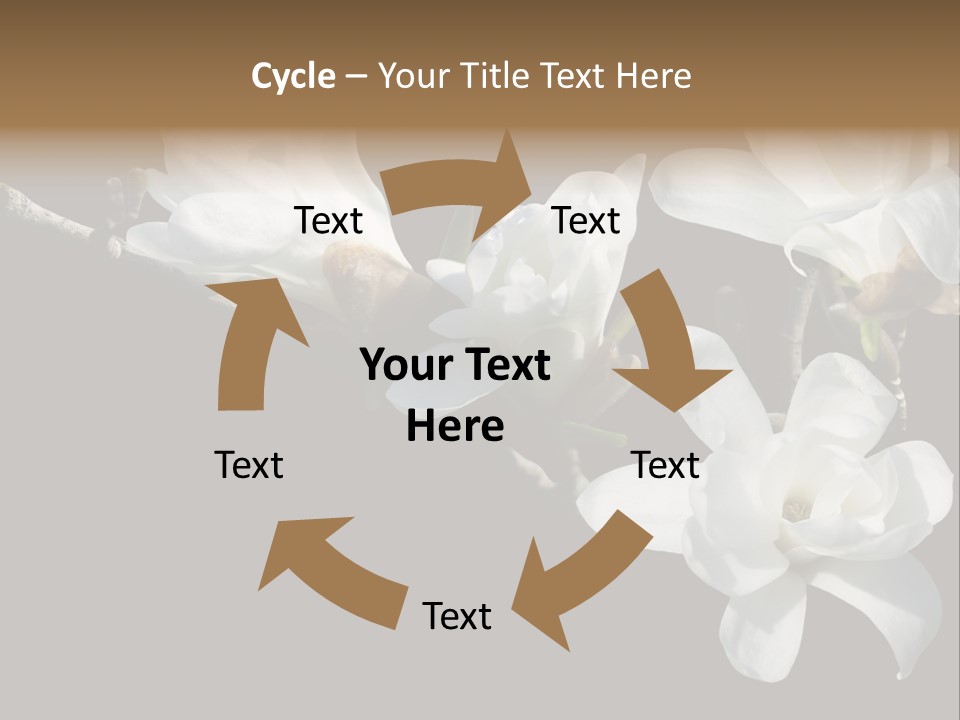 Closeup Photography Backgrounds PowerPoint Template