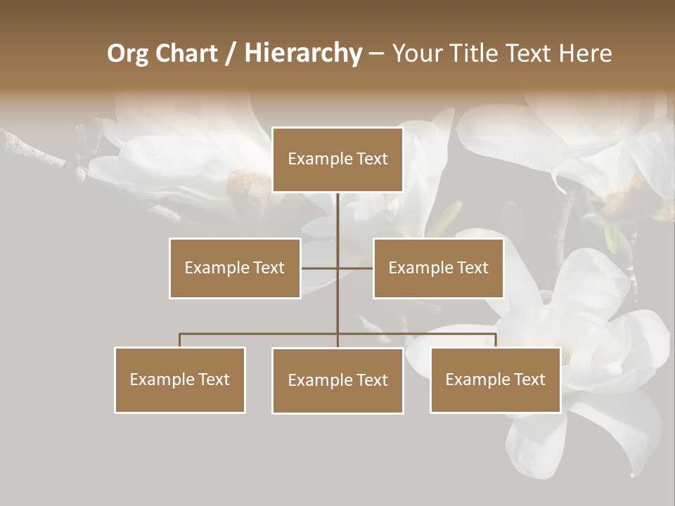 Closeup Photography Backgrounds PowerPoint Template