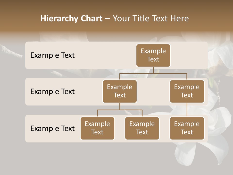 Closeup Photography Backgrounds PowerPoint Template